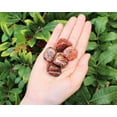 thumbnail image 6 of 1/4 lb Brecciated Jasper Tumbled Stones (Crystal Healing) 4 oz Lot, 6 of 8