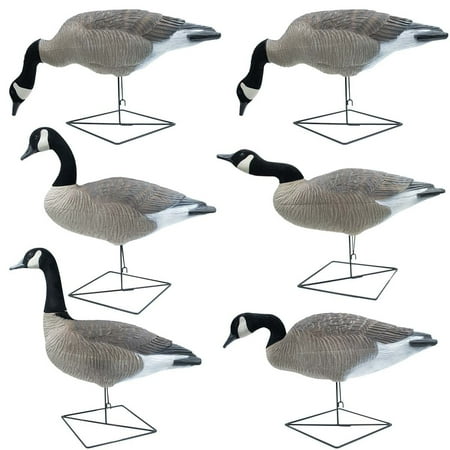 Big Foot B2 Extreme Motion Full Body Canada Goose Decoys 6 Pack