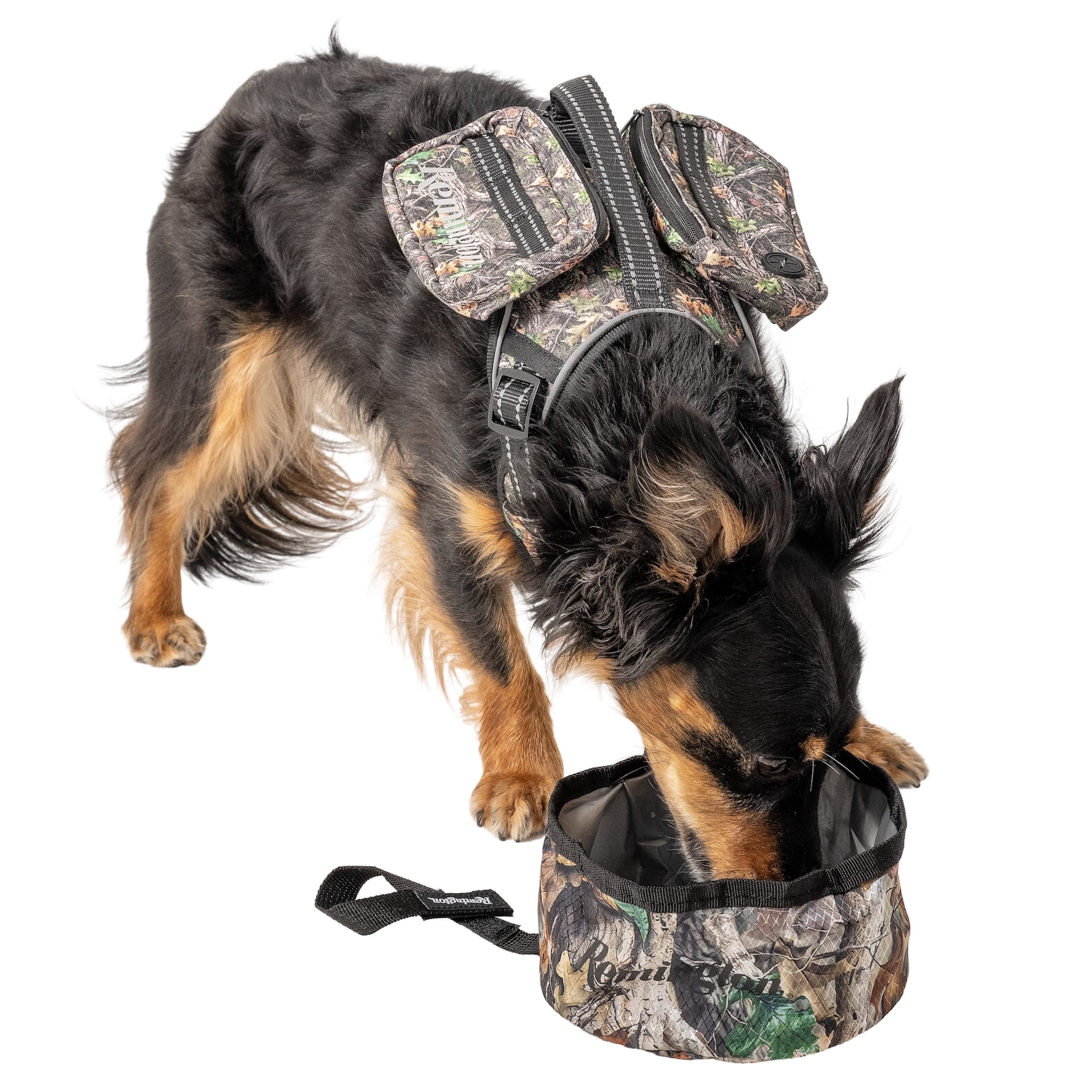 Remington Packable Travel Dog Bowl, Camo