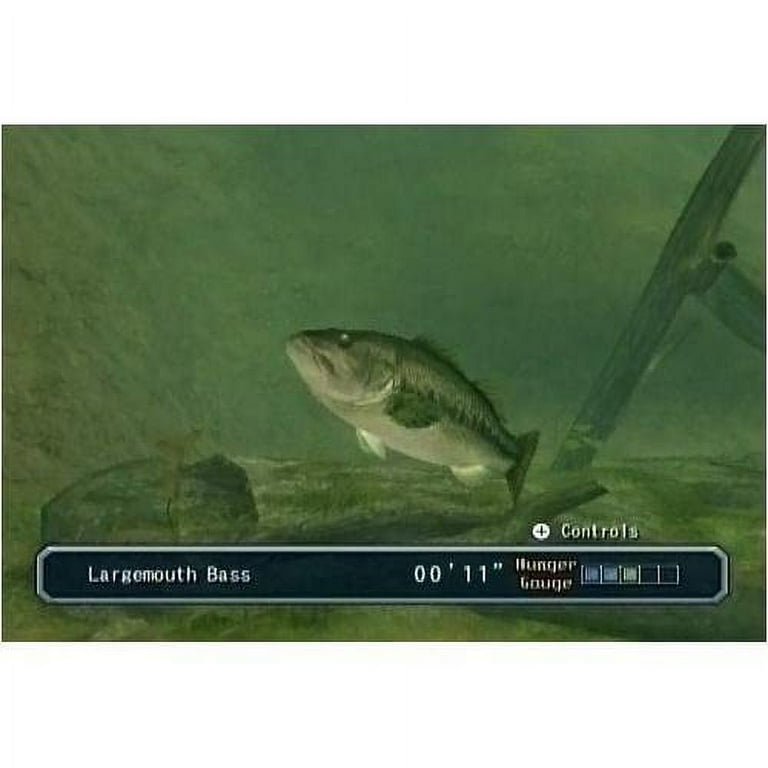 best spinning rod reel combo BUYER'S GUIDE: BEST $300 ROD AND REEL COMBOS  Tactical Bassin'