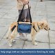 thumbnail image 3 of JM 2XL, azul) Arnés de transporte para perros, mochila de emergencia para mascotas, arnés de elevación para perros para recortar uñas y lesiones en las articulaciones JM, 3 of 5