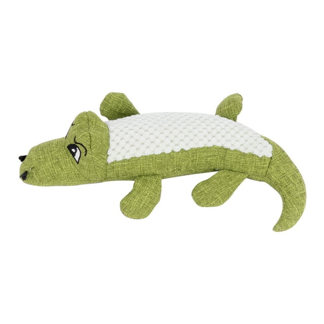 Dog Molar Toy, Toy Non- Squeaky For Puppy Blue,Red,Green