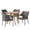 Multibrown/Teak, variant on GDF Studio Tiernan Outdoor Acacia Wood and Wicker 5 Piece Dining Set, Teak and Multibrown