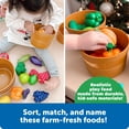thumbnail image 4 of Learning Resources Farmer's Market Color Sorting Set, Toddler Sorting Toys for Kids, Daycare Toys,  Ages 18 Months +, 4 of 9
