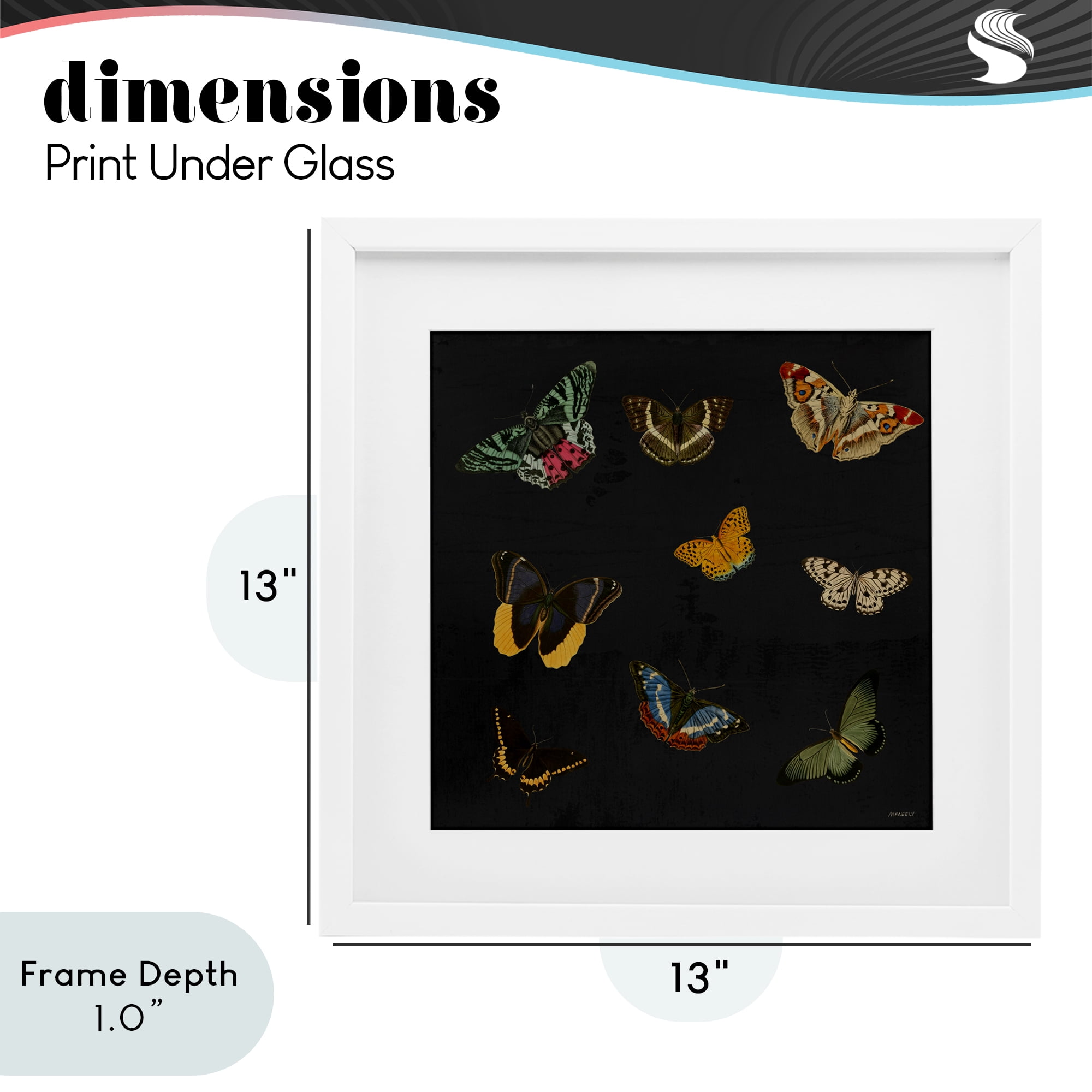 Stupell Industries Butterfly & Moth Collection White Framed Print Under Glass, design by Dan Meneely