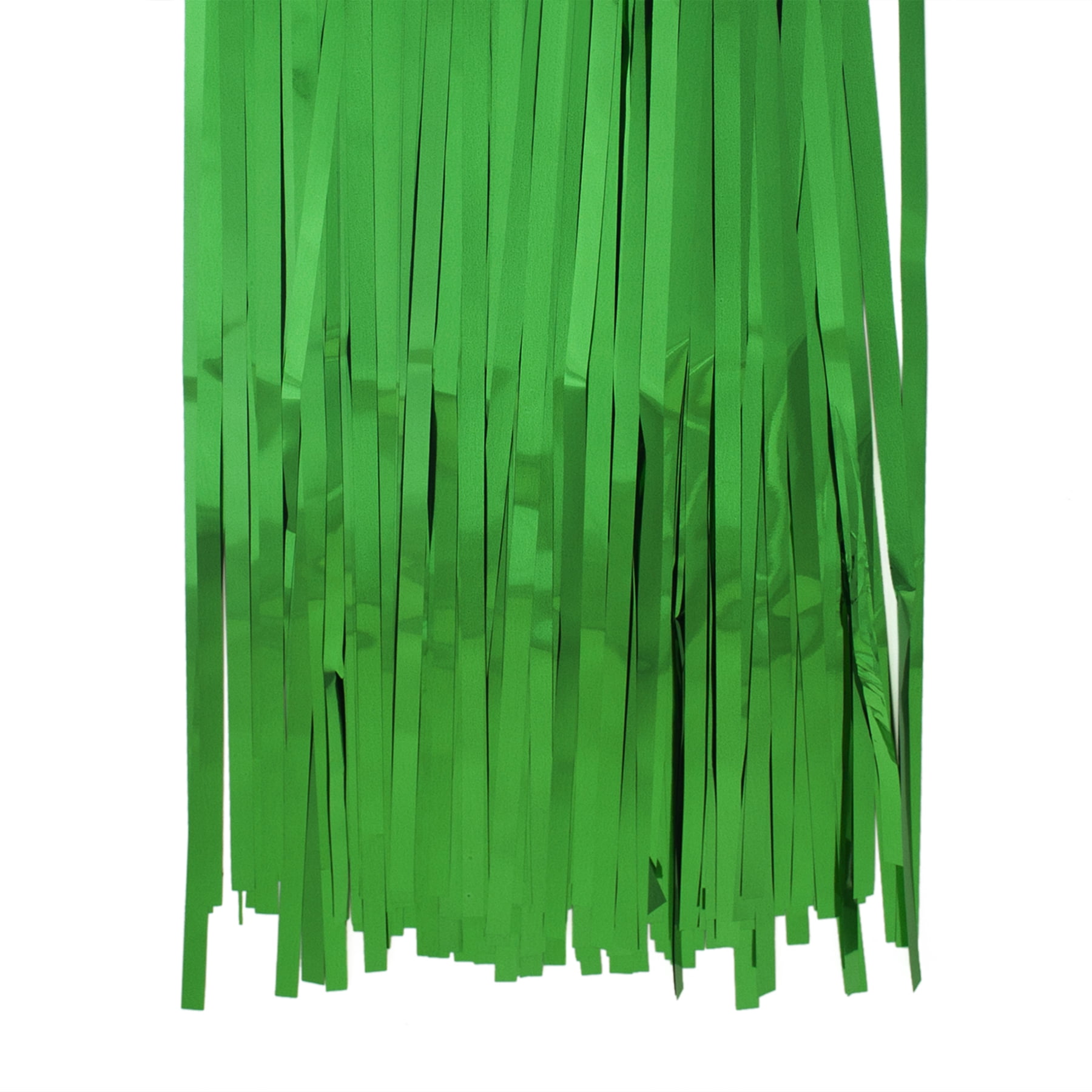 Aspire 2Packs Foil Fringe Curtain Metallic Photo Booth Tinsel Backdrop Door Curtains Perfect