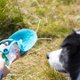 thumbnail image 4 of Botella de agua para perros para caminar, dispensador de agua para mascotas, contenedor portátil con taza para beber, cuenco para senderismo al aire libre, viajes para cachorros, gatos, háms, 4 of 4