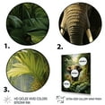 thumbnail image 3 of Designart "Sanctuary in the Elephant Jungle II" Animals Floater Framed Canvas Print, 3 of 7