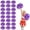 Black+Purple, variant on 24 Pcs Cheerleading Pom Poms,14.57inch with Handle Style Cheerleading Handheld Squad Pompoms for Sports Team Cheer Spirit