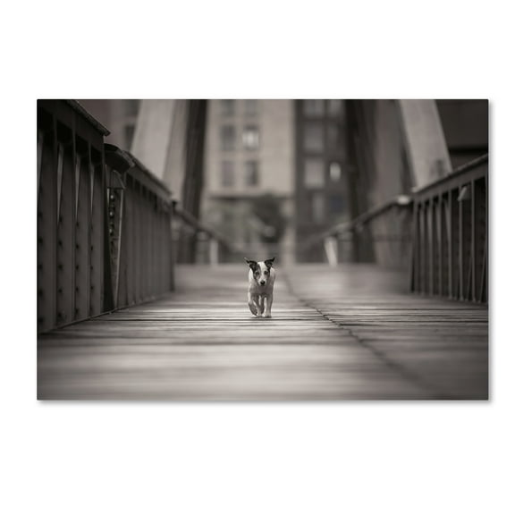 Trademark Fine Art 'You Can Go Your Own Way' Canvas Art by Heike Willers