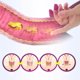 thumbnail image 3 of 10 cápsulas en una caja Cápsulas de ajuste vaginal píldora en polvo femenina ANGGREK Otros, 3 of 8