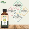 thumbnail image 3 of Aceite Amla Organic Zing Natural Puro para Cuidado de Piel, Rostro y Cabello 30ml, 3 of 9