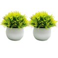 thumbnail image 1 of Wosthever 2 uds plantas de simulación en maceta de plástico que añaden belleza y estilo a cualquier entorno pastos falsos para decoración Decoración amarillo, 1 of 6