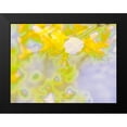 thumbnail image 2 of Popcorn 24x19 Black Modern Framed Museum Art Print Titled - Color Blast III, 2 of 5