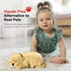 thumbnail image 3 of Juguete interactivo de peluche Perfect Petzzz Golden Retriever para mascotas, 3 of 6