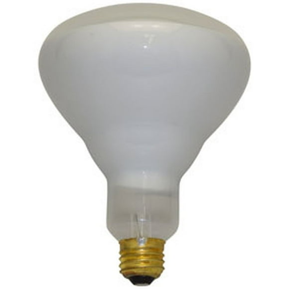Rough Service Light Bulbs
