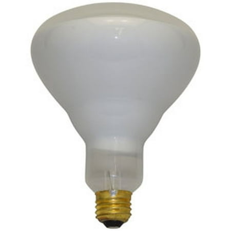 

Replacement for INTERNATIONAL LIGHTING 65BR40/FL-20 000 24 PACK replacement light bulb lamp