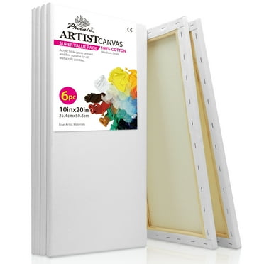 Phoenix Long Stretched Canvas 10x20 inch / 6 Pack 100% Cotton Painting Canvas for Acrylic & Oil Paints for Adults & Kids