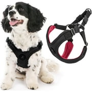 Gooby Escape Free Sport Harness - Black, Large - No Pull Step-in Harness