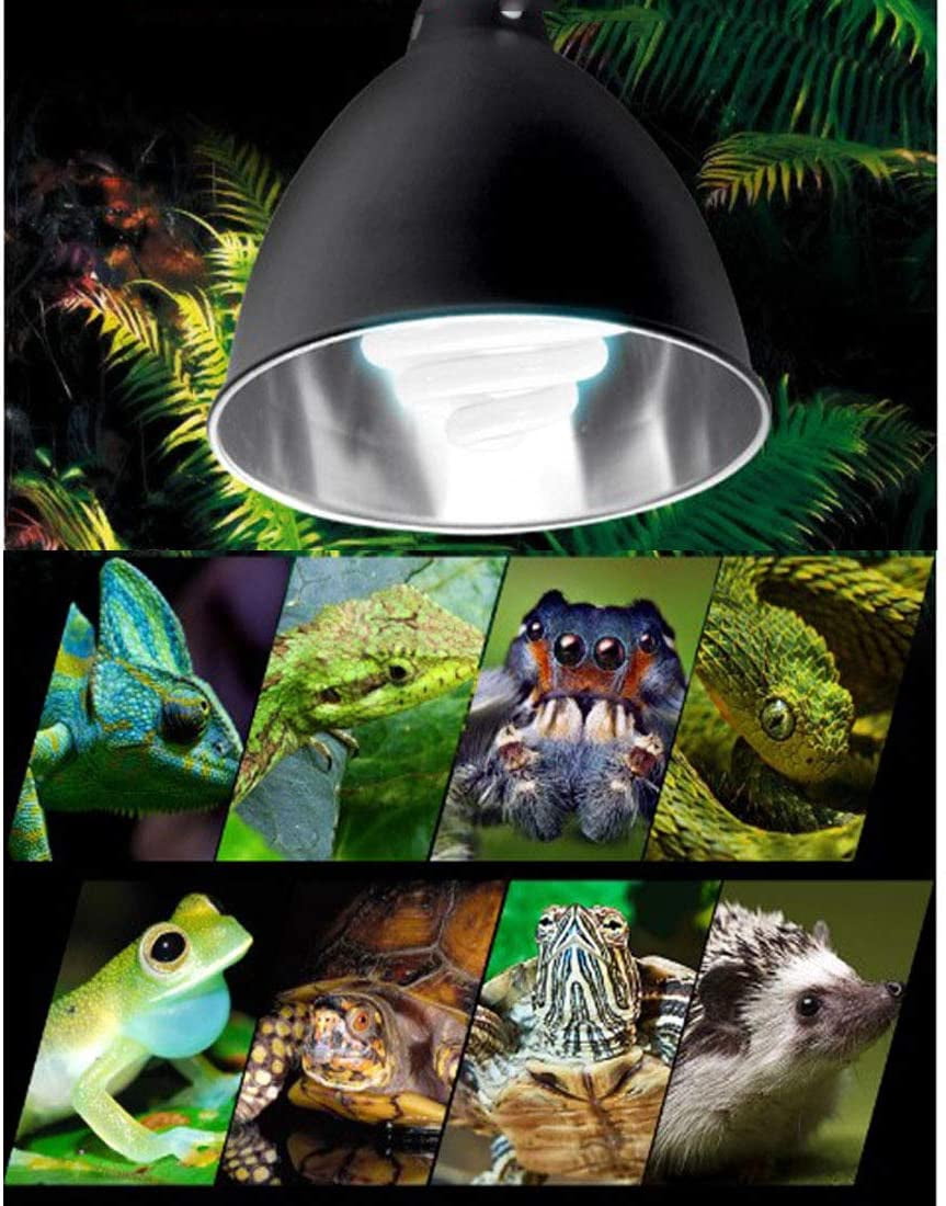 Reptile Light Fixture,Reptile Heat Lamp Fixture,For Turtle Bearded Dragon Lizards Snake,Reptile Glass Terrariums(Black)