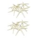 thumbnail image 1 of 24pcs White Finger Starfish 5-10cm Decorative Five-finger Starfish, 1 of 5
