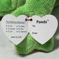thumbnail image 5 of Ty Pluffies - Ponds the Green Frog  – Solid Eyes  - Stuffed Animal, 5 of 5