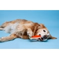 thumbnail image 4 of Hartz Chew 'n Clean Tuff Bone Dog Toy, Large, Color May Vary, 4 of 9