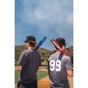 Easton Quantum (2 5/8 Barrel) BBCOR Baseball Bat | 32 | -3