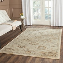SAFAVIEH Florenteen Emory Abstract Overdyed Area Rug, Ivory/Grey, 5'1" x 7'7"