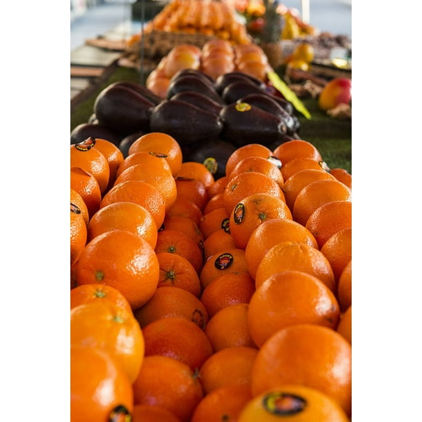 Framed Art For Your Wall Orange Sun Orange Juice Fruit Clementines 10x13 Frame Walmart Com Walmart Com