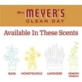 thumbnail image 3 of Mrs. Meyer's Multi-Surface Cleaner Apple Cider 16 OZ (Pack of 6), 3 of 6