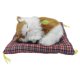 thumbnail image 1 of Simulación Sleeping Cat Nap Gatten Con para Escritorio () Blanco Amarillo, 1 of 9