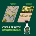 thumbnail image 4 of Ortho GroundClear Weed & Grass Killer Ready-to-Use 24 fl. oz., 4 of 13