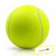 thumbnail image 1 of 9.5quot; Tenis para perros, juguete grande para mascotas, divertido, deportes al aire libre, pelota para perros, regalo con pasador inflable, 11 Feliz Sencillez, 1 of 4
