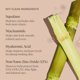 thumbnail image 4 of Gold Bond No Mess Clear Invisible Body Powder Spray 7 oz. Absorbe el sudor que causa el olor., 4 of 5