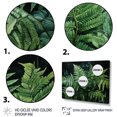 thumbnail image 3 of Designart "Dynamic Ferns Green and Black Contrast IV" Floral Floater Framed Canvas Art Print, 3 of 7