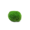 thumbnail image 1 of Simulation Seaweed Ball Water Grass Artificial Plant Fish Tank Aquarium Micro Landscape Decorative Props, 1 of 9