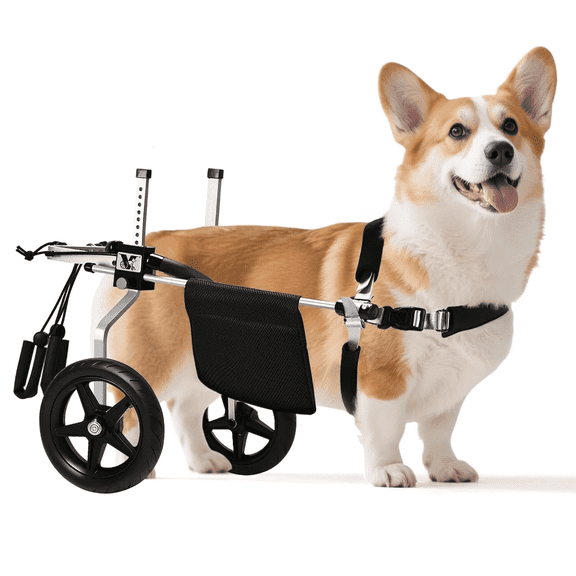 Virbraroo Corgi&Dachshund Dog Wheelchiar - Dog Wheelchair for Back Legs – Lightweight Adjustable Mobility Aid for Medium Dogs - Ideal for IVDD, Arthritis & Injury Recovery