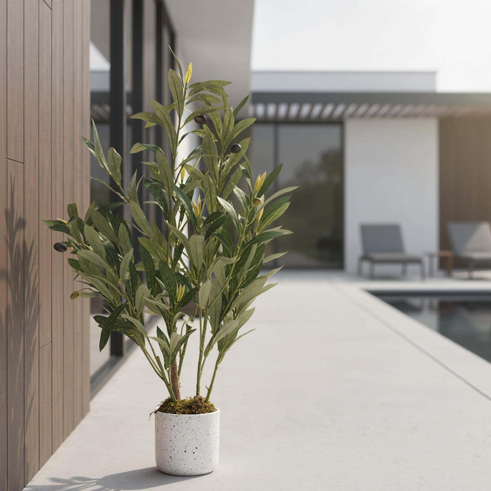 2FT Faux Olive Tree, Artificial Olive Trees with Lifelike Olive Branche and Fruits, Fake Floor Plants with Pot for Indoor Home Office Living Room Outdoor Decor