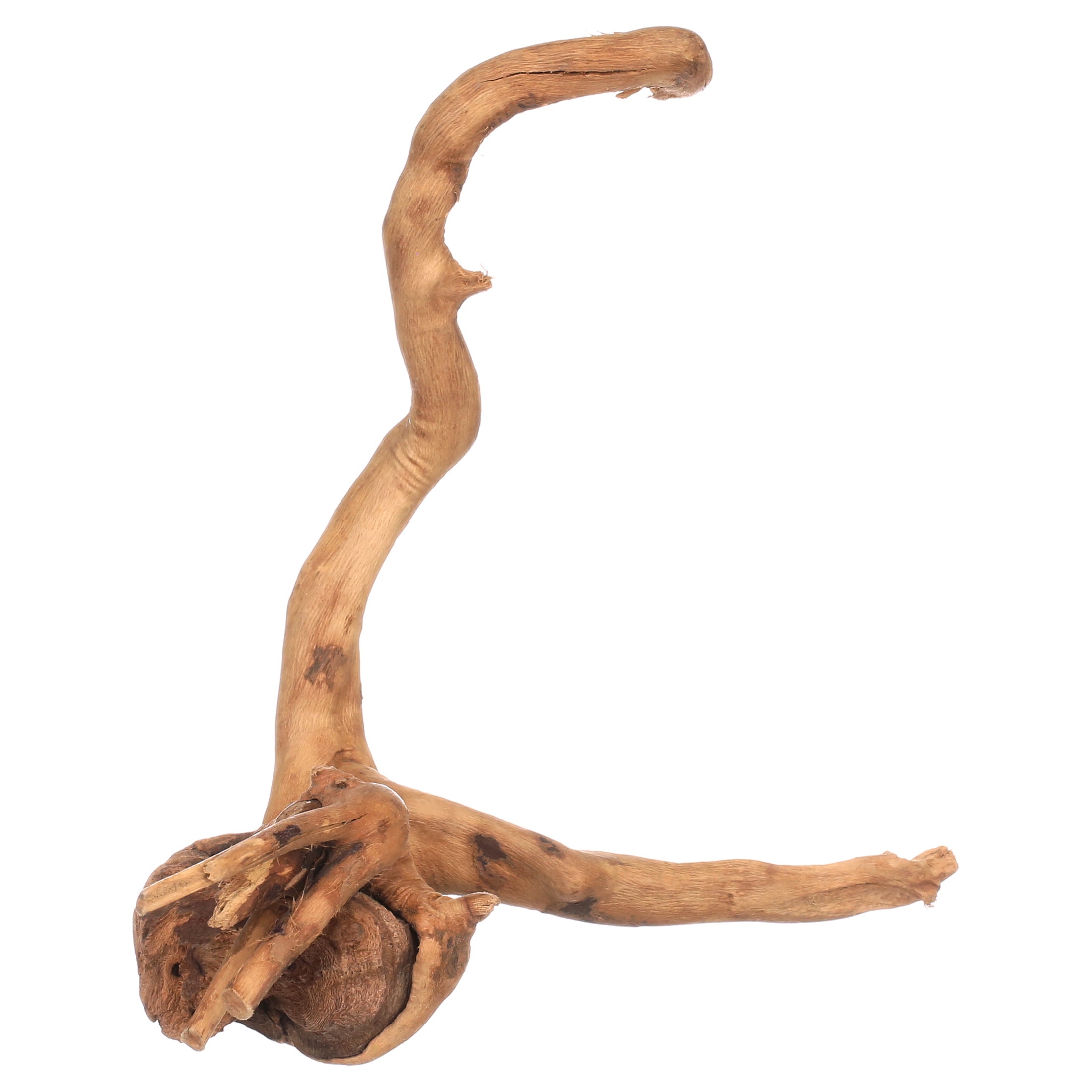Zoo Med Spider Wood, Small, Perfect for Aquariums and Terrariums, 690857,  Small/8-12 Inch