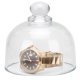 thumbnail image 3 of Cubierta antipolvo de vidrio transparente para relojes, adornos, colección de decoración DIY, 3 of 5