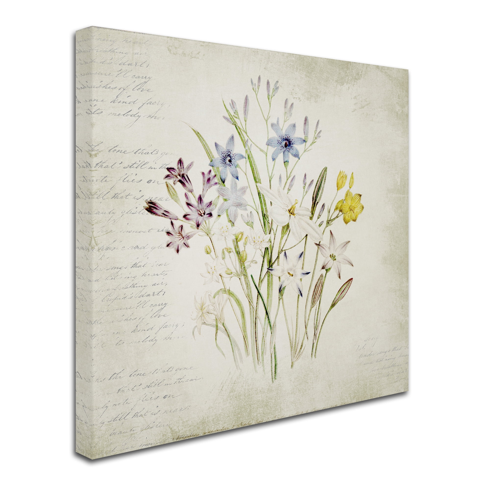 Trademark Fine Art 'Wild Flowers Three' Canvas Art by Marcee Duggar