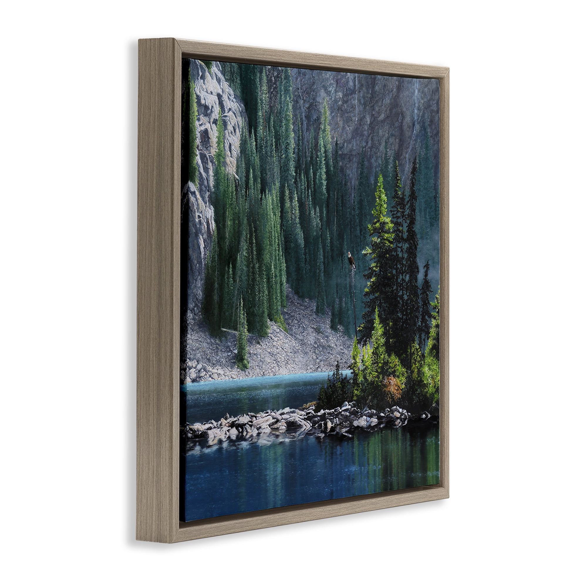 Stupell Industries Tree Spires in Nature Landscape & Nature Photography Brown Floater Framed Canvas Art Print Wall Art, 25 x 25