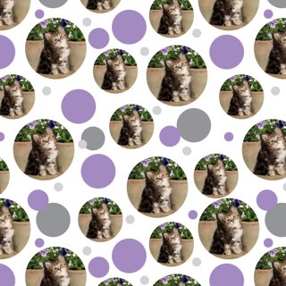  CENTRAL 23 Birthday Wrapping Paper - Cats in Party Hats - 6  Sheets of Wrapping Paper for Her - For Girls and Boys - Cat Gift Wrap for  Pet Owner With Tags - Recyclable : Pet Supplies