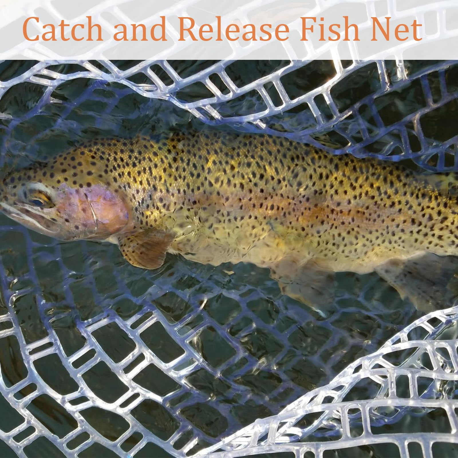 Fly Fishing Landing Net with Wooden Handle – Lightweight Knotless Rubber Mesh Design for Safe Fish Handling, Ideal for Trout, Bass, and Other Freshwater Species in Rivers, Lakes, and Streams