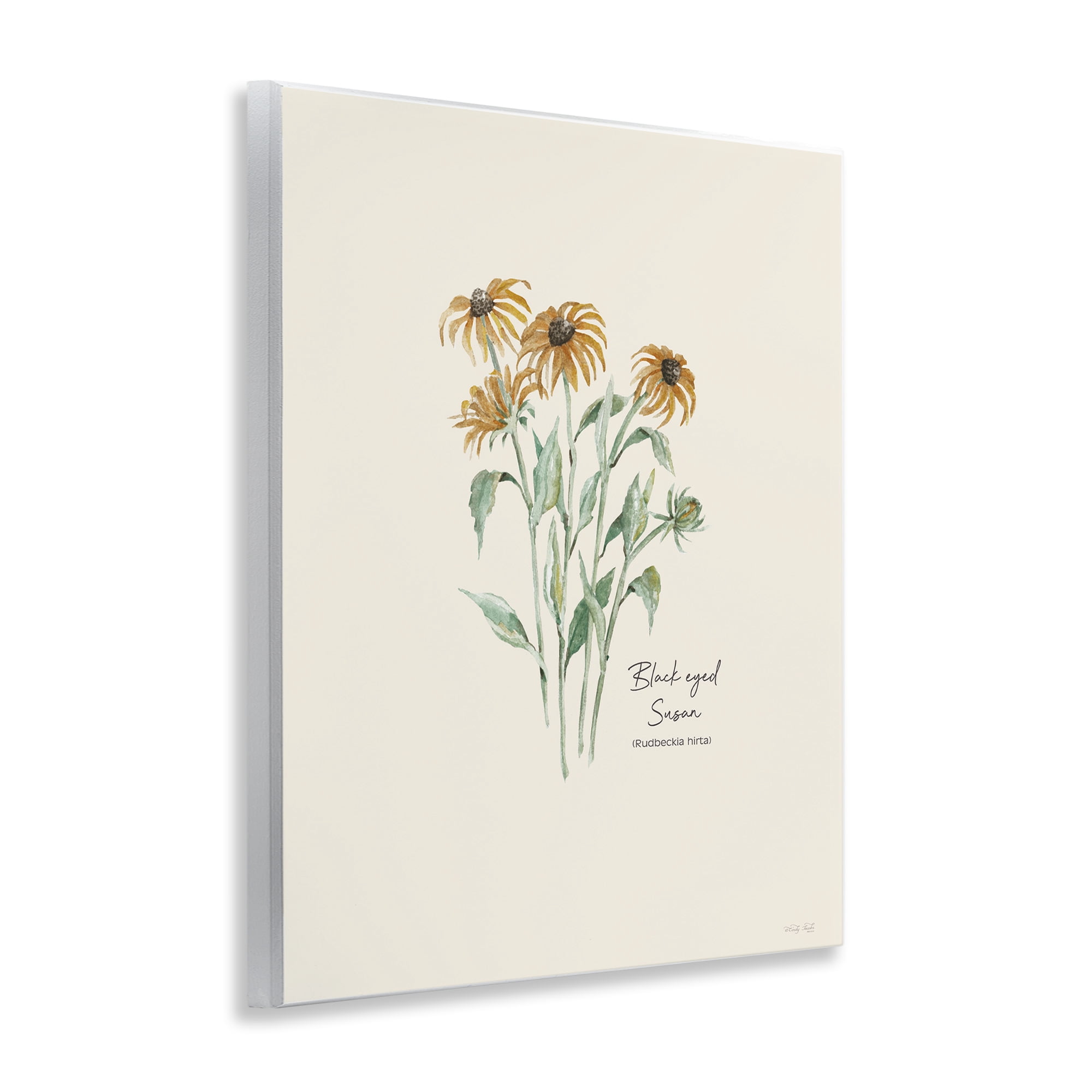 Stupell Industries Black Eyed Susans Botanical & Floral Painting Unframed Art Print Wall Art, 11 x 14
