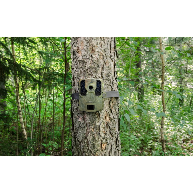 Camouflage Hidden Outdoor Camera Best Trail Cameras For Security