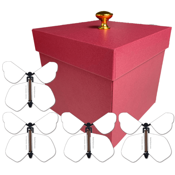Flying Butterfly Gift Box