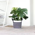 thumbnail image 6 of Monstera Deliciosa Live Indoor Plant in 10-inch Grower Pot, Medium to Bright Light by United Nursery, 6 of 6