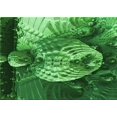 thumbnail image 1 of Ahgly Company Machine Washable Indoor Rectangle Transitional Deep Emerald Green Area Rugs, 8' x 12', 1 of 7